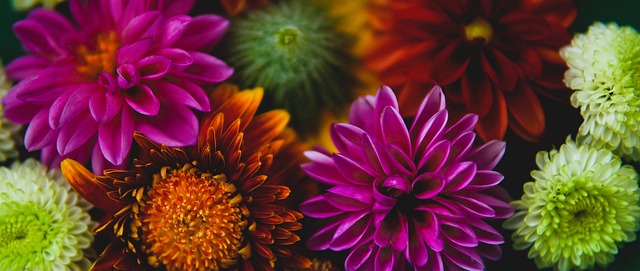 速度对抗以 速度对抗以