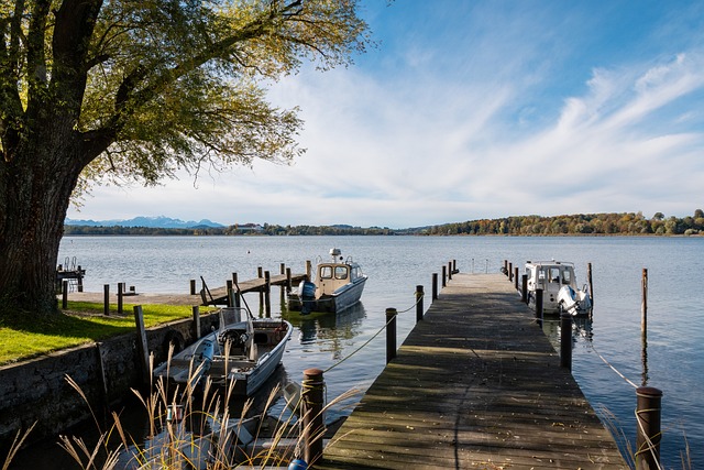 究竟是顺势 究竟是顺势