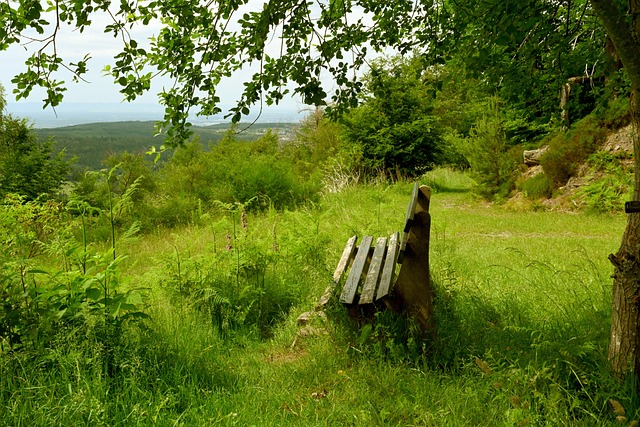 门前良机下 门前良机下