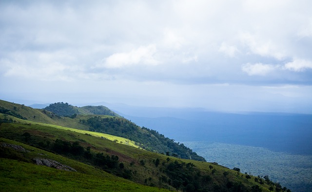 无论是拜仁 无论是拜仁